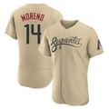 Tlead A.Diamondbacks #14 Gabriel Moreno Player Gold City Connect Stitched Jerseys