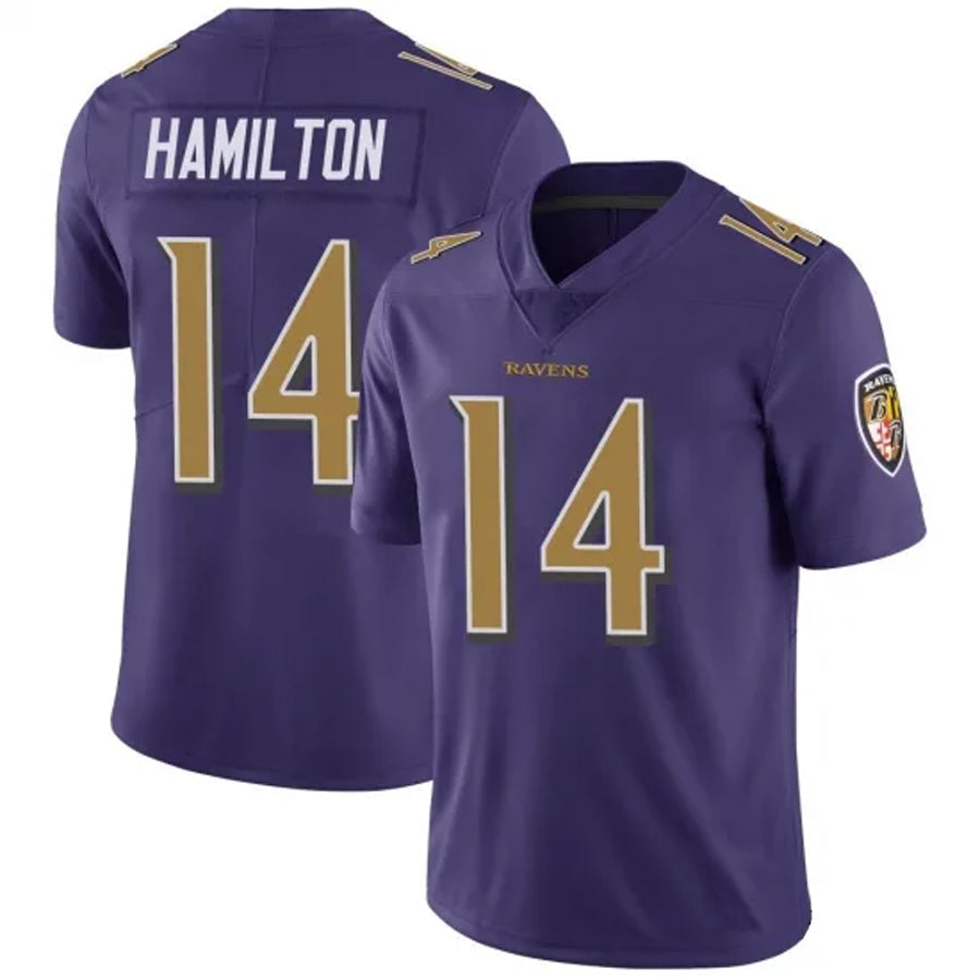 Tlead B.Ravens #14 Kyle Hamilton Player Limited Color Rush Vapor Untouchable Purple StitchedJerseys