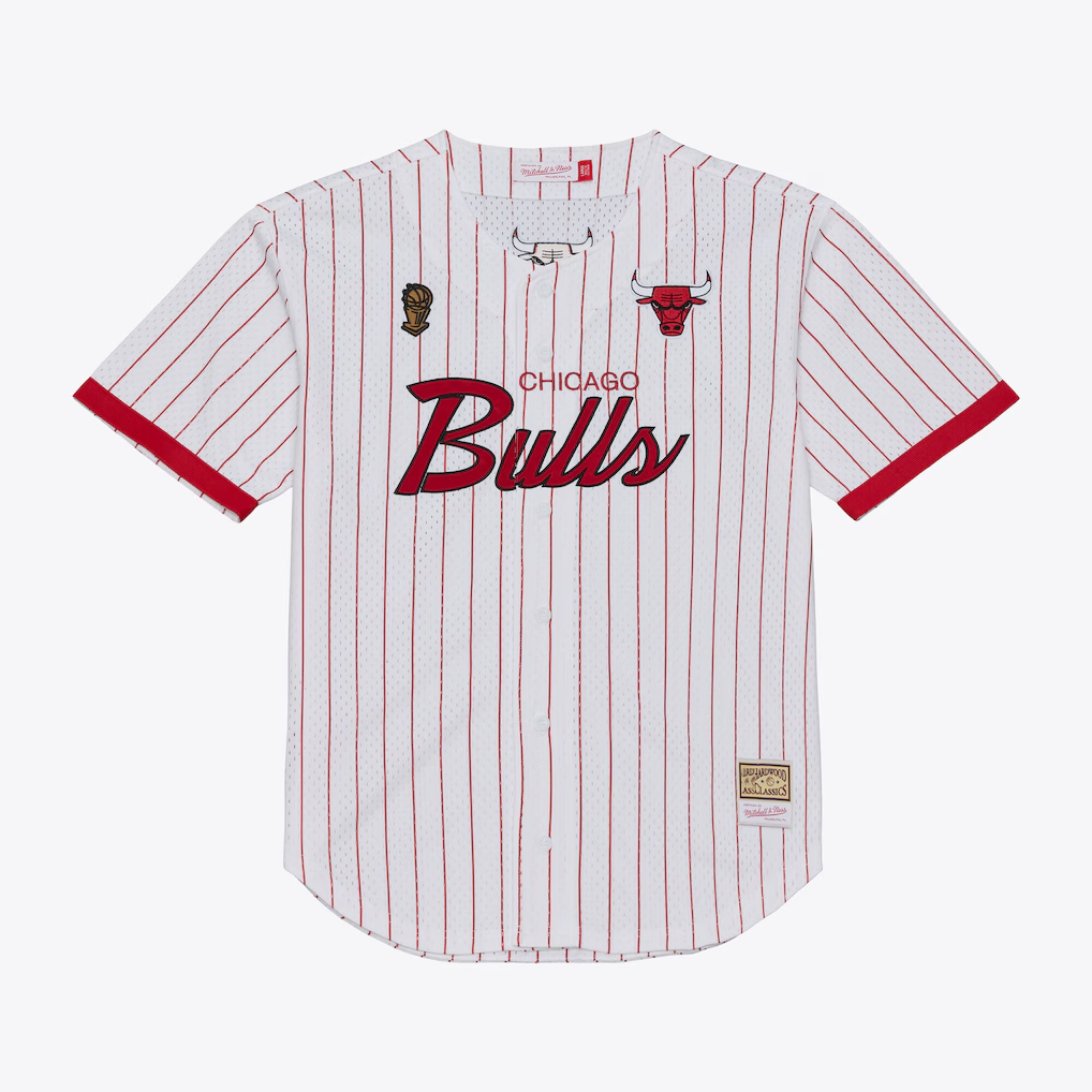 Tlead C.Bulls Mitchell & Ness White Head Coach Pinstripe Mesh Full-Button Baseball Jerseys