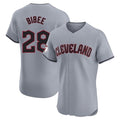Tlead C.Guardians #28 Tanner Bibee Player Gray Road Limited Elite Home Stitched Jerseys