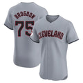 Tlead C.Guardians #75 Connor Brogdon Player Gray Road Limited Elite Home Stitched Jerseys