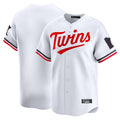 Tlead Minnesota Twins Blank Player White Home Limited Stitched Jerseys