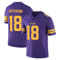 Tlead MN.Vikings #18 Justin Jefferson Player Purple Limited Color Rush Home Game Stitched Jerseys
